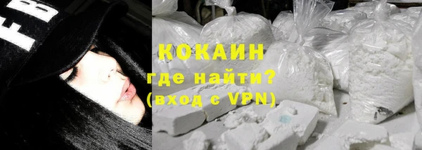 индика Волосово