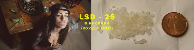 индика Волосово