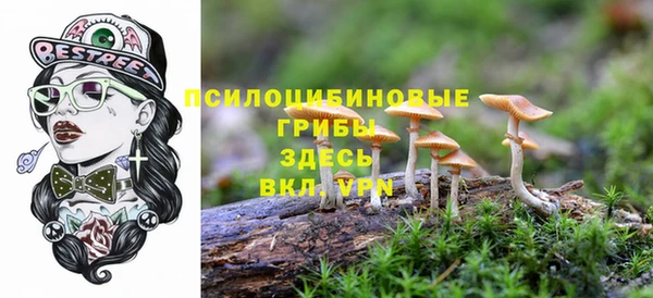 трава Верхний Тагил