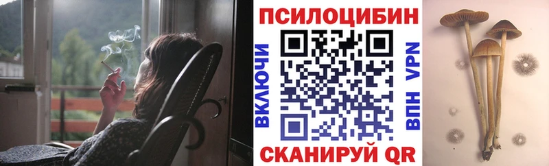 OMG зеркало  Королёв  Псилоцибиновые грибы Cubensis 